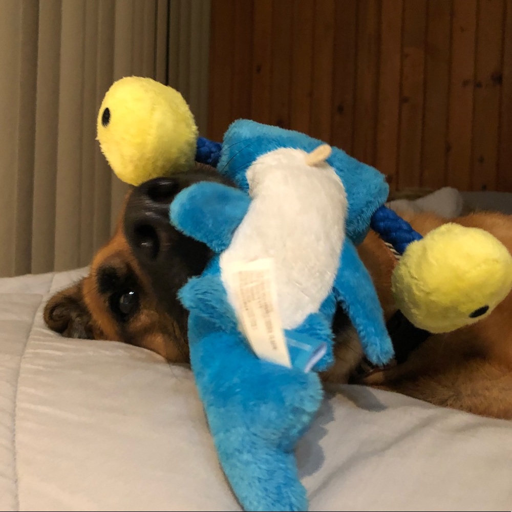 PSA 🐾 - Picture 2 of 2